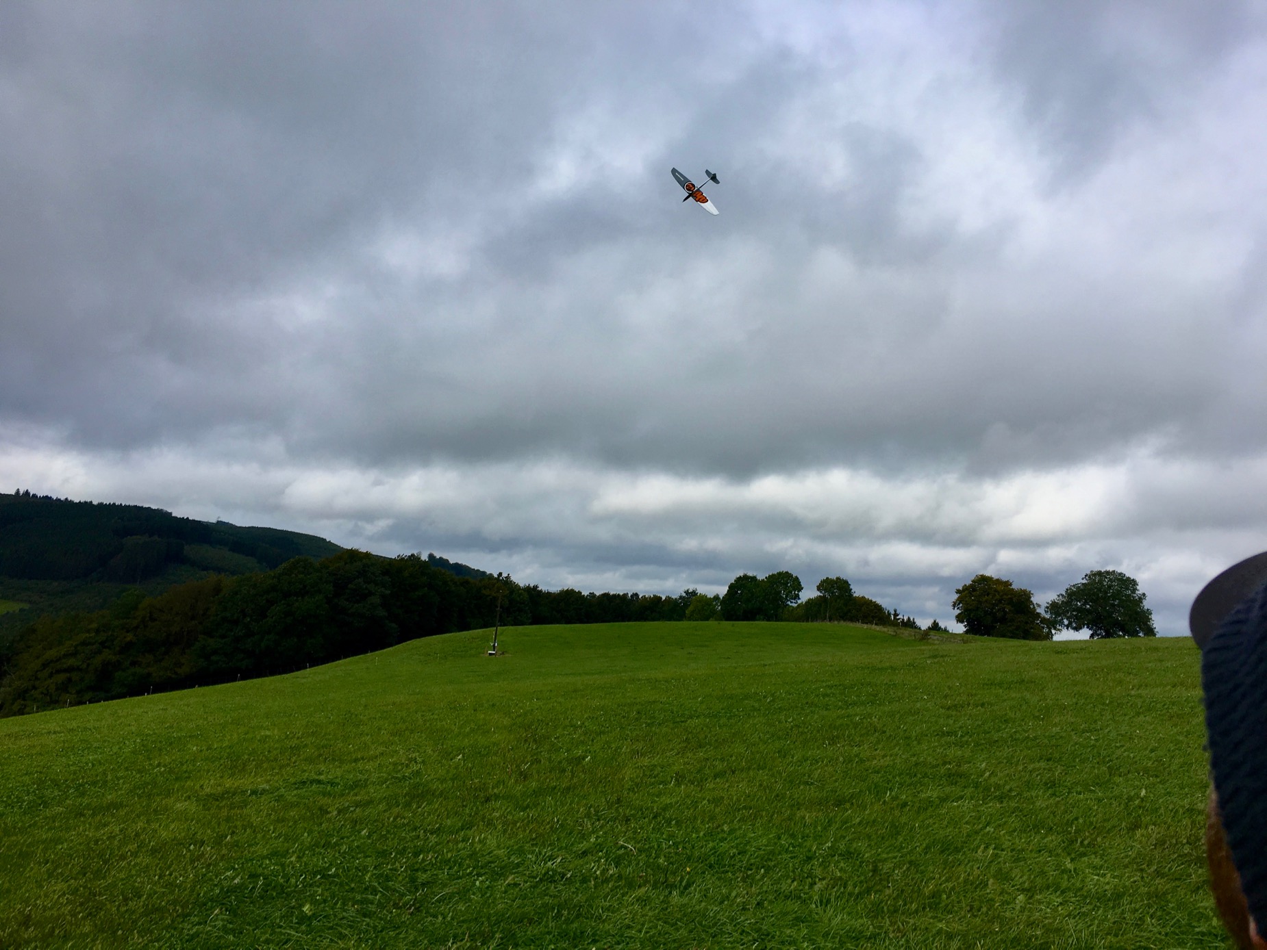 SANSI AHI [RTF] - SOLD! 15