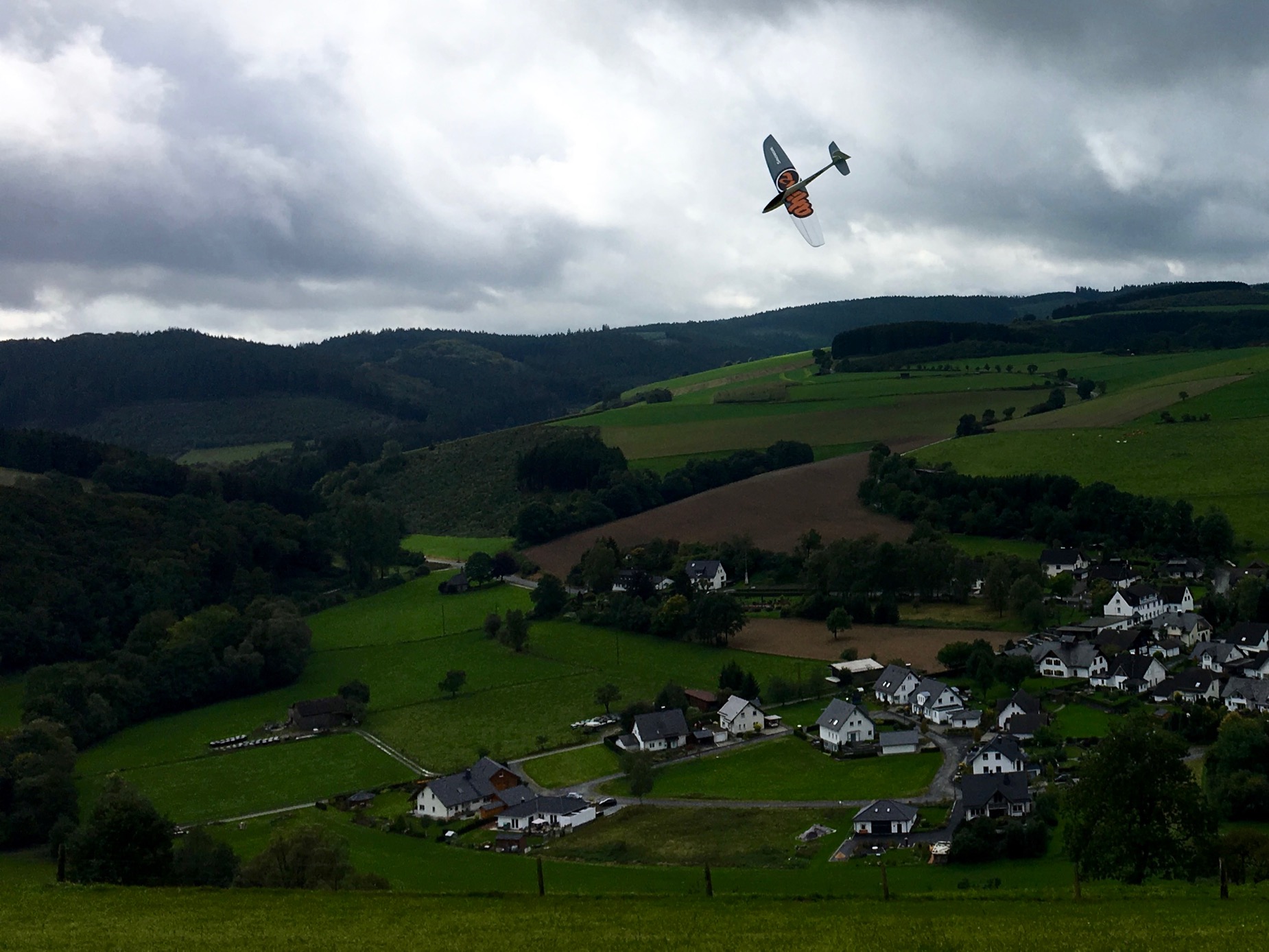 SANSI AHI [RTF] - SOLD! 17