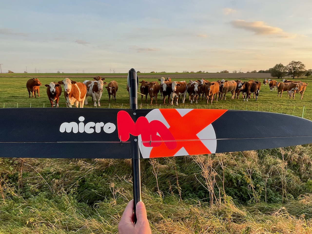 microMAX Electra (mM -EEE) [ARF/RTF] 19