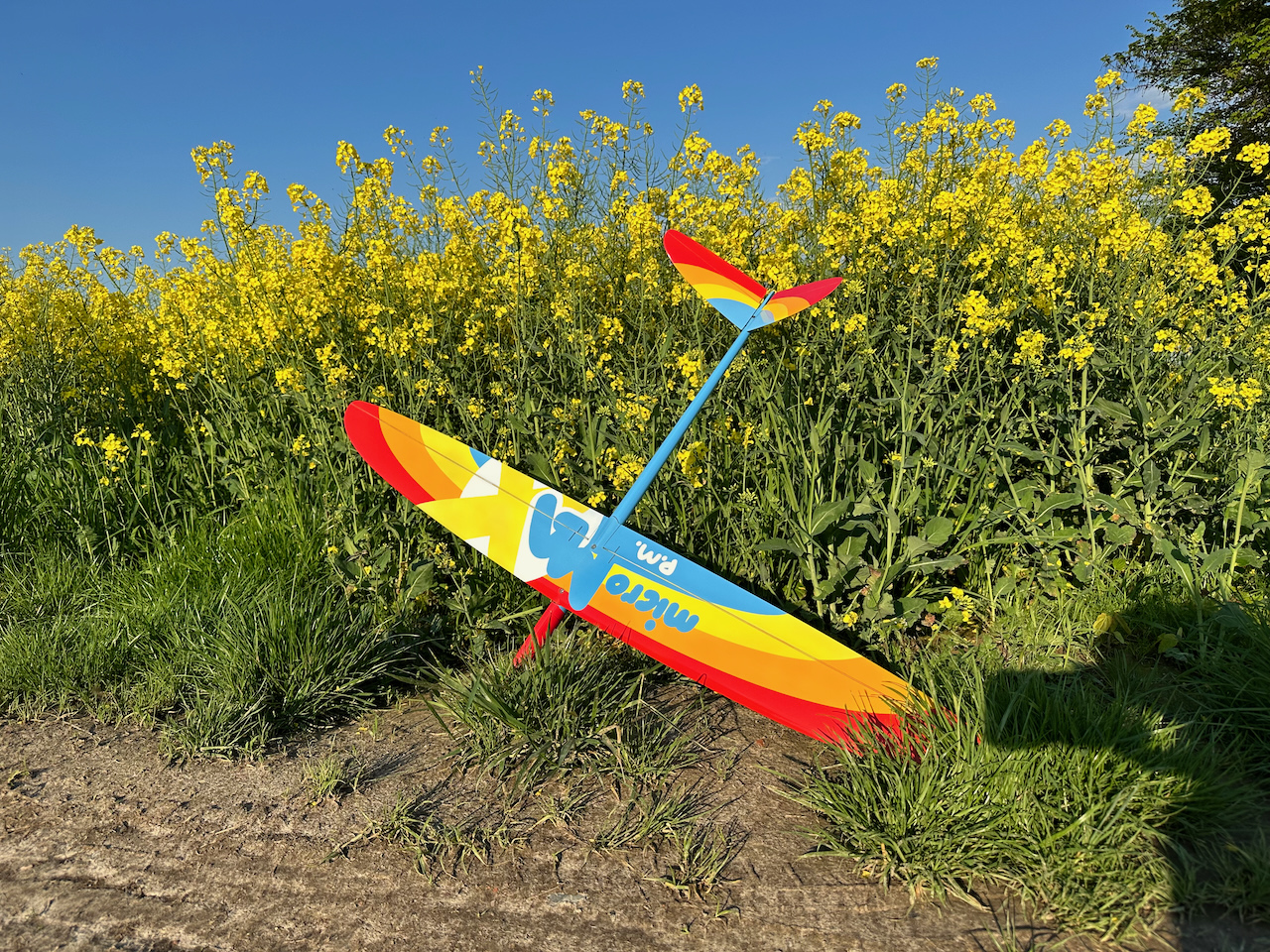 microMAX - P.M. - Killer - [ARF] 1