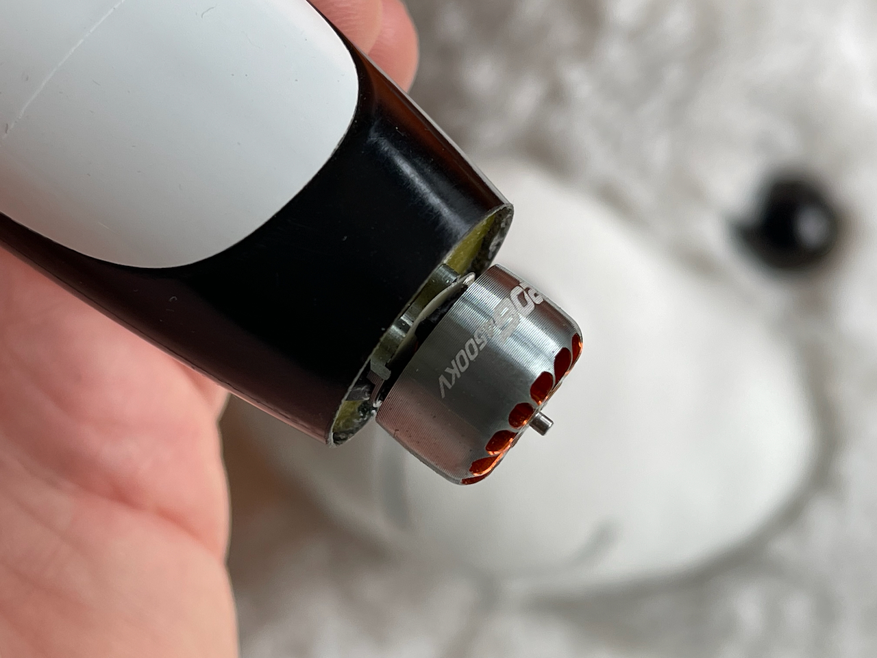 JUNI EEE 2PW [ARF/RTF] 30