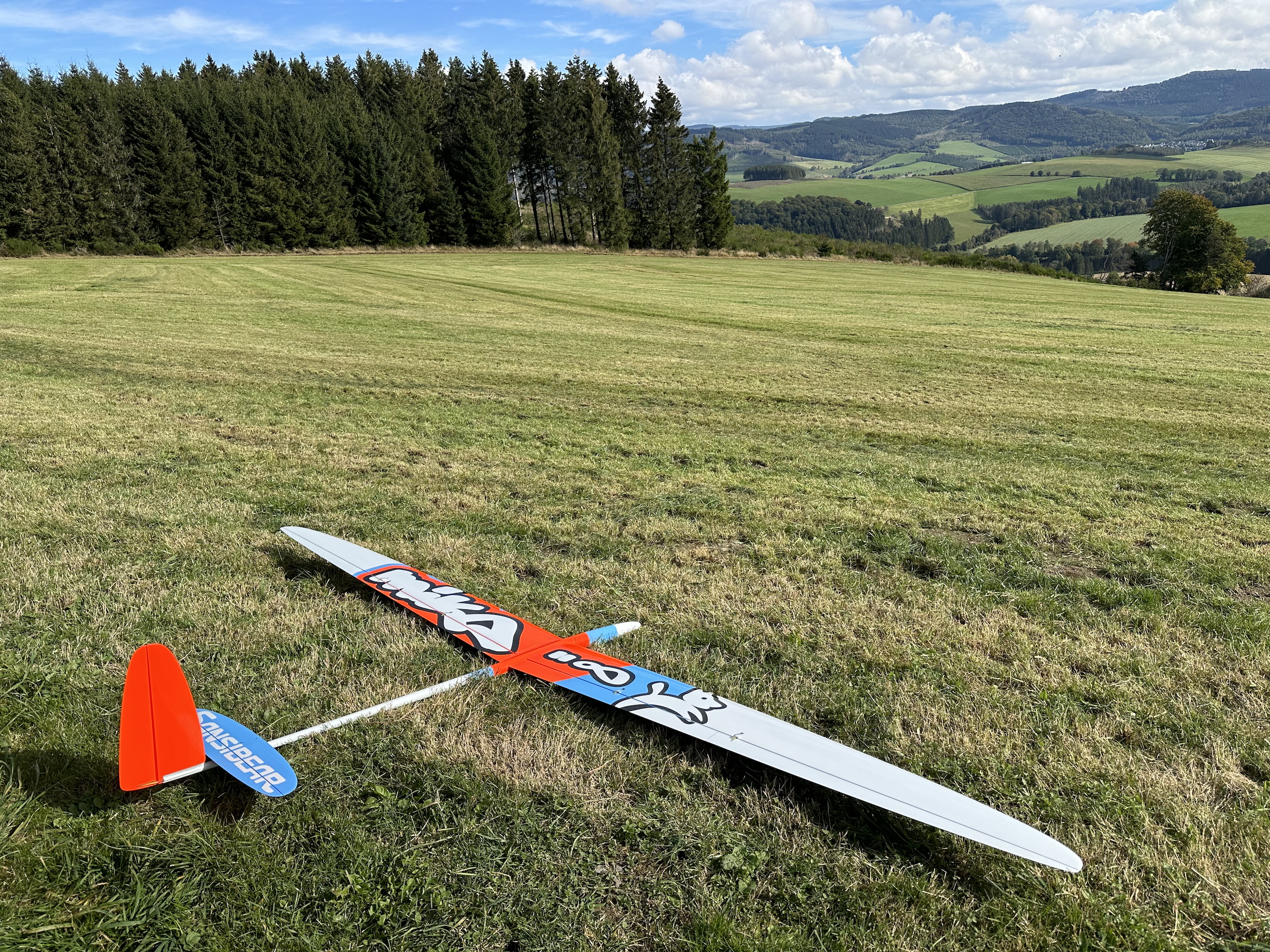 MIKA 28 [super ARF u. RTF] 56