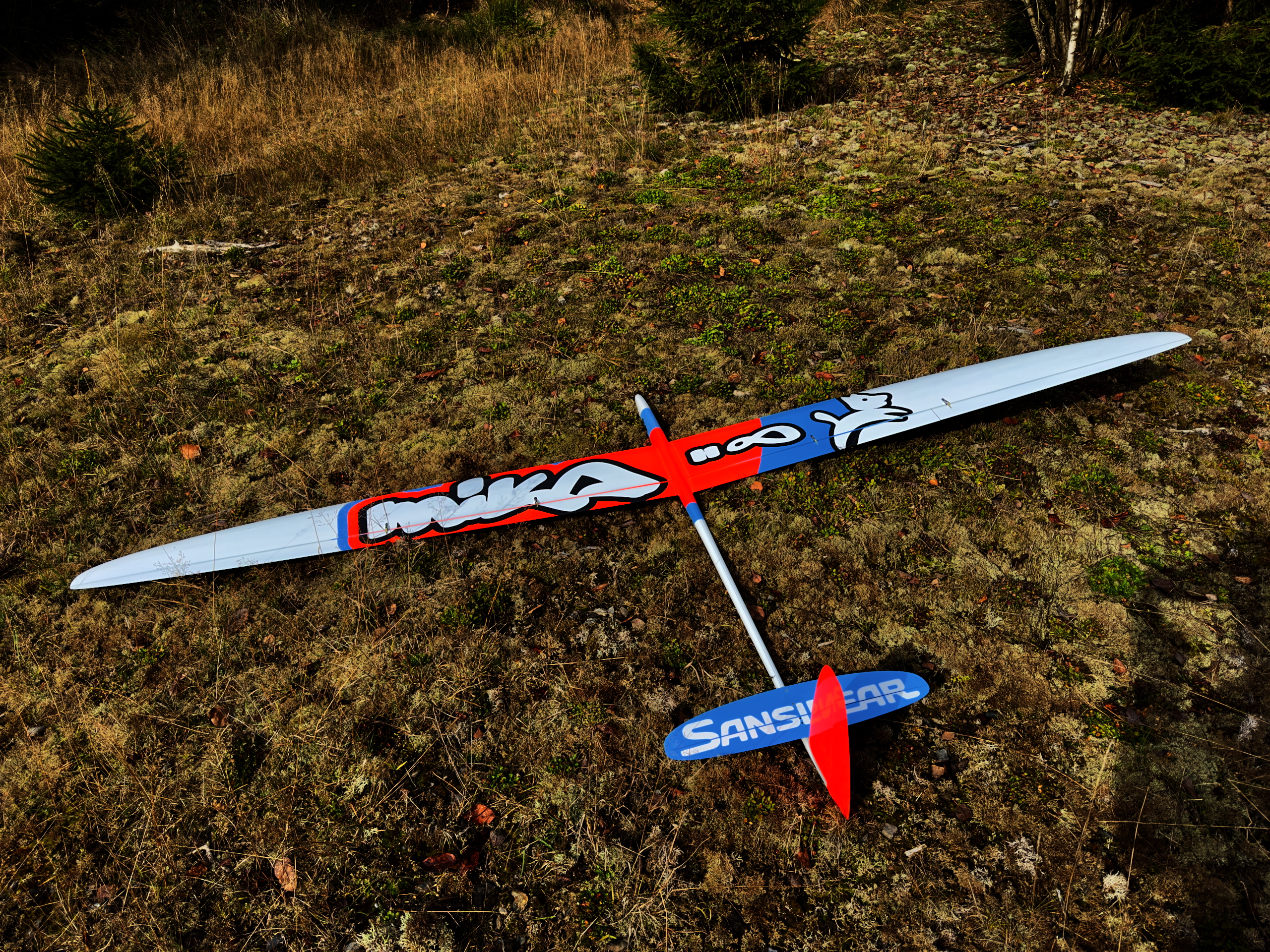 MIKA 28 [super ARF u. RTF] 61