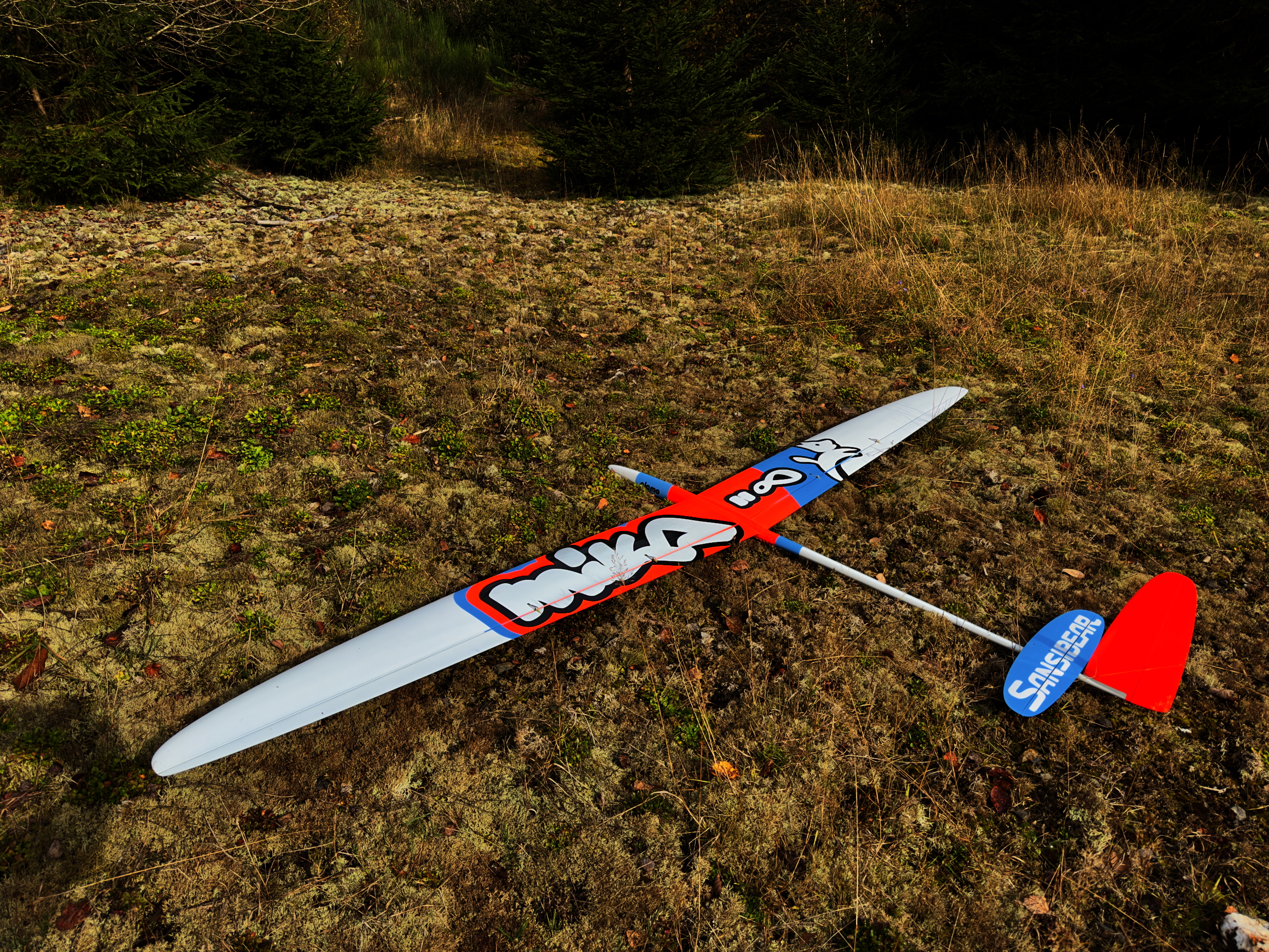 MIKA 28 [super ARF u. RTF] 62