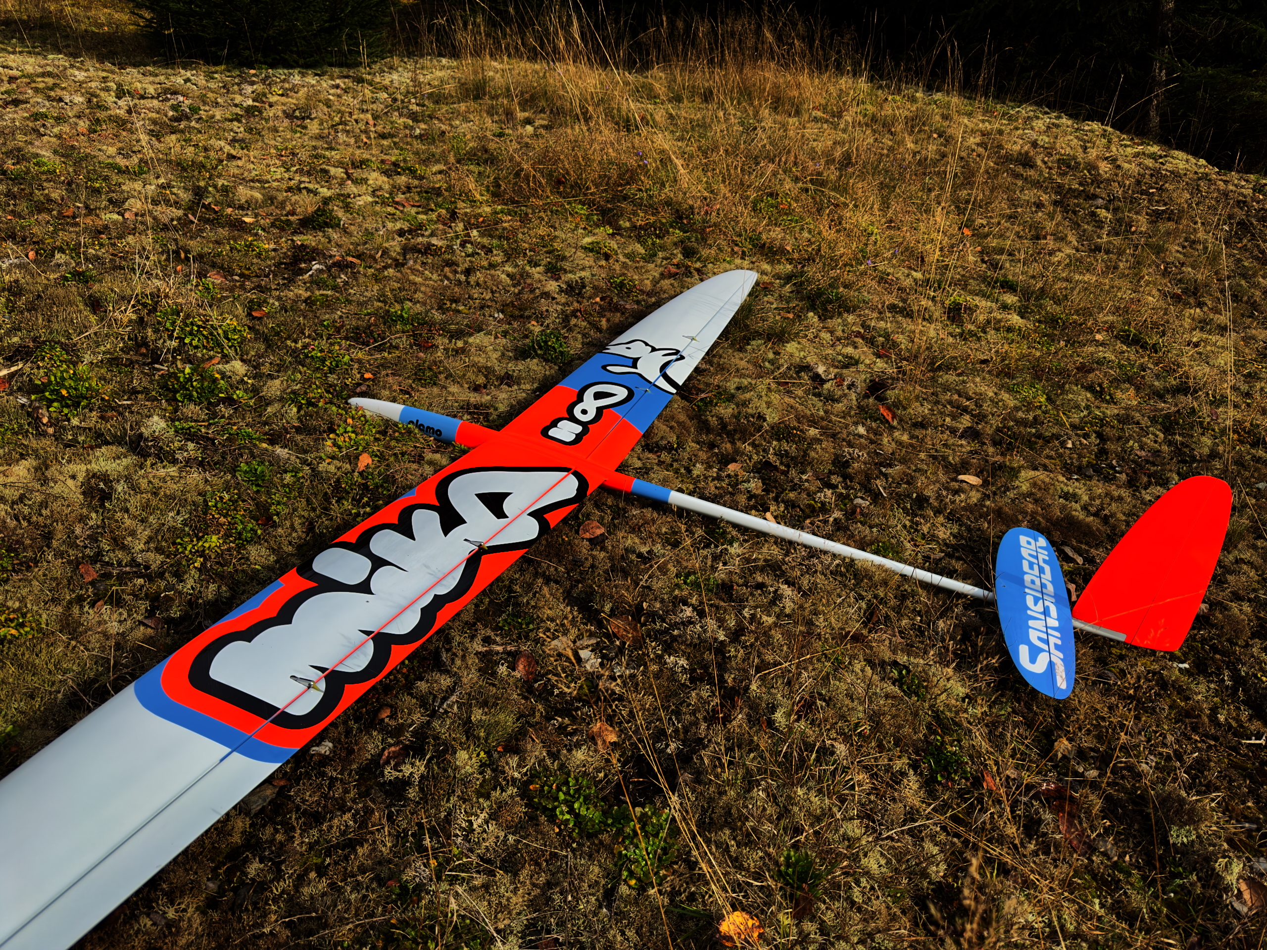 MIKA 28 [super ARF u. RTF] 63